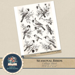 Seasonal Birds | Collage Sheet